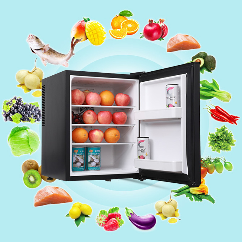 Mini Fridge Cooler 40L Refrige - Wine Beer Cooler Fridge ulasan dan harga