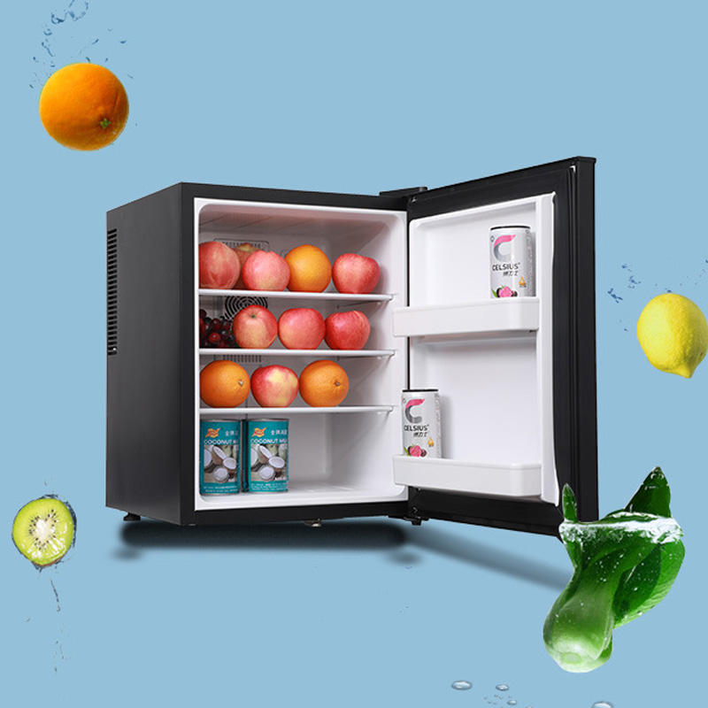Mini Fridge Cooler 40L Refrige - Wine Beer Cooler Fridge ulasan dan harga