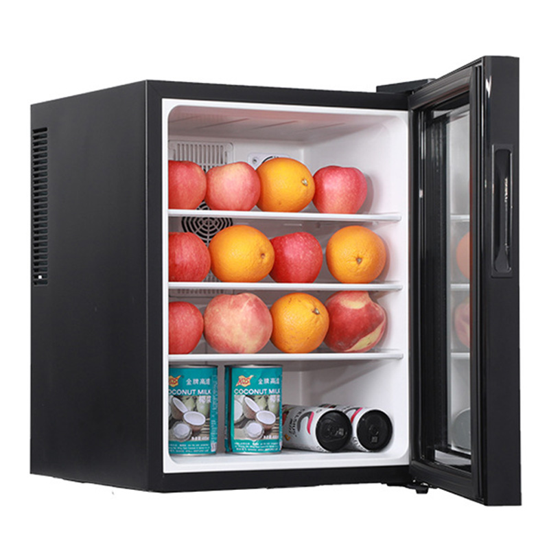 Mini Fridge Cooler 40L Refrige - Wine Beer Cooler Fridge ulasan dan harga